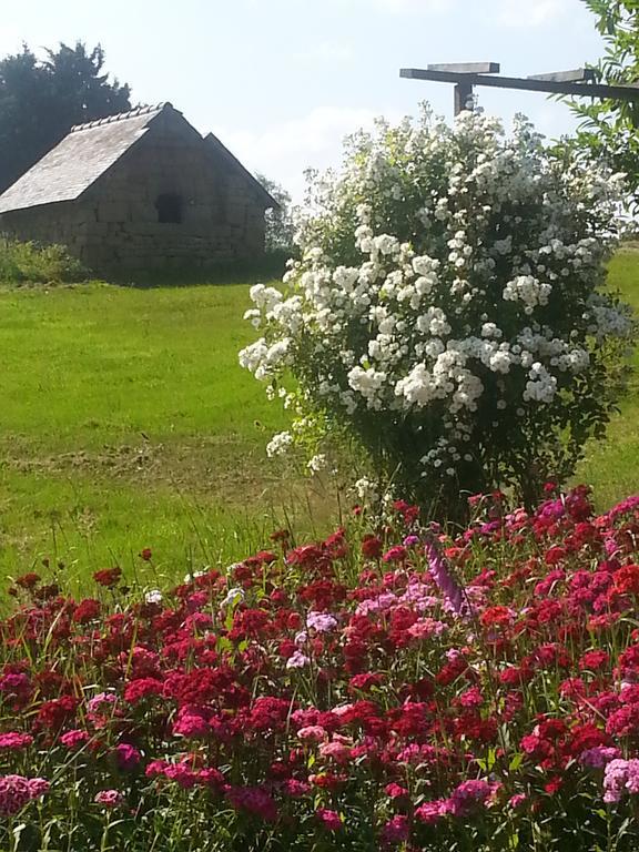 Manoir De La Branche Bed and Breakfast Maen Roch Eksteriør billede