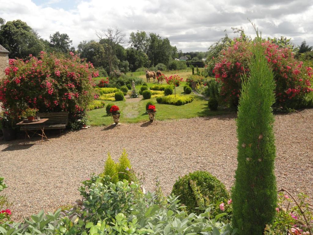 Manoir De La Branche Bed and Breakfast Maen Roch Eksteriør billede