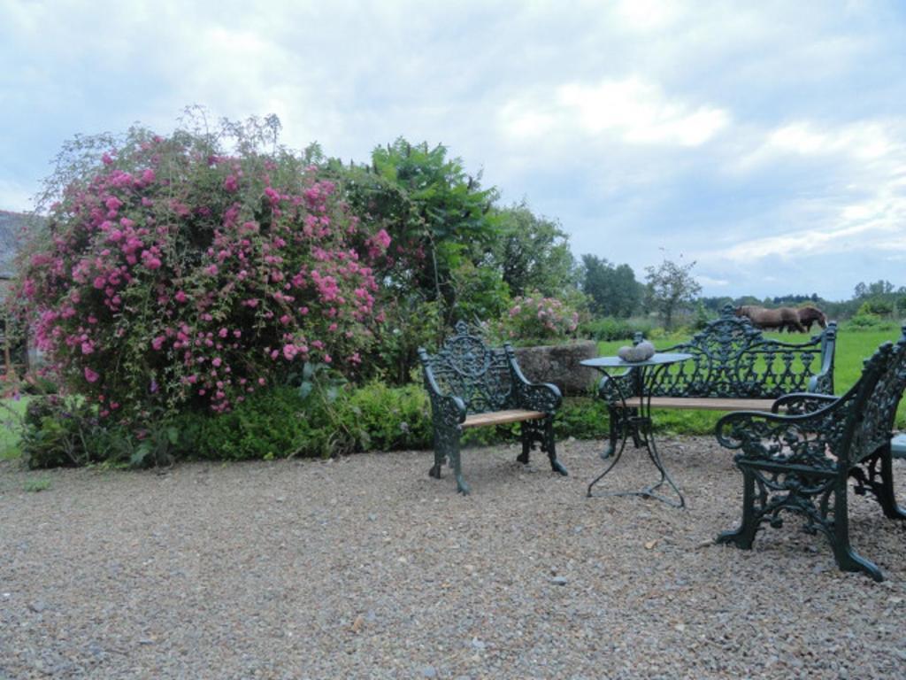 Manoir De La Branche Bed and Breakfast Maen Roch Eksteriør billede