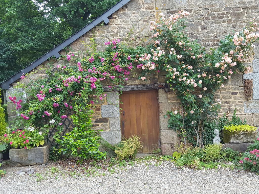Manoir De La Branche Bed and Breakfast Maen Roch Eksteriør billede