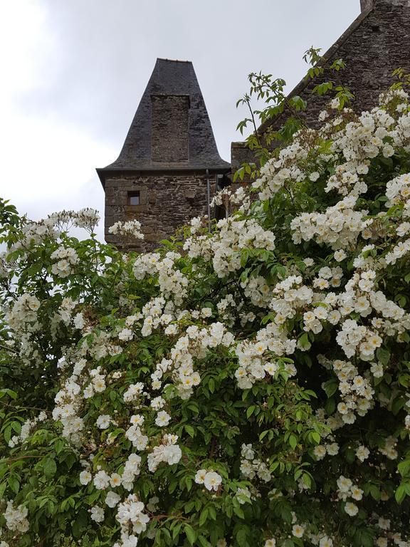 Manoir De La Branche Bed and Breakfast Maen Roch Eksteriør billede