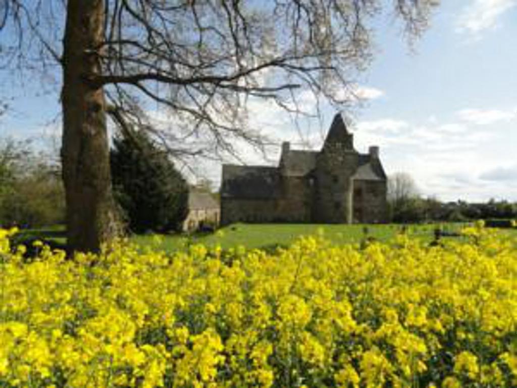 Manoir De La Branche Bed and Breakfast Maen Roch Eksteriør billede